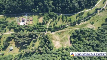 teren-intravilan-5600-mp-de-vanzare-in-berevoiesti-arges-4