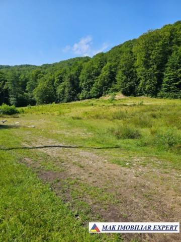 teren-intravilan-5600-mp-de-vanzare-in-berevoiesti-arges-8