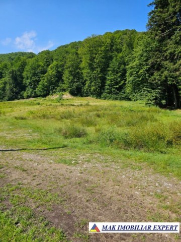 teren-intravilan-5600-mp-de-vanzare-in-berevoiesti-arges-9