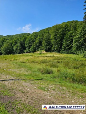 teren-intravilan-5600-mp-de-vanzare-in-berevoiesti-arges-10