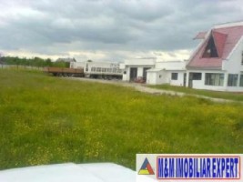 teren-economic-3425-mp-intravilan-valea-mare-pravat-arges