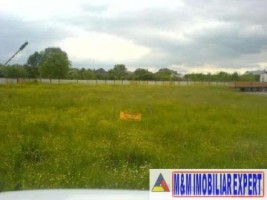 teren-economic-3425-mp-intravilan-valea-mare-pravat-arges-1