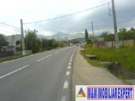 teren-economic-3425-mp-intravilan-valea-mare-pravat-arges-2