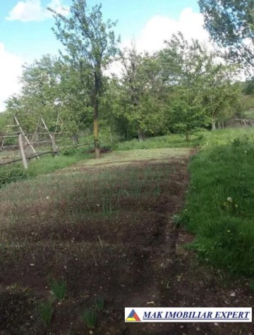 casa-5-camere-teren-4430-mp-pietrosani-domnesti-arges-5