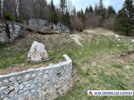 teren-de-vanzare-6000-mp-pe-valea-cheii-dambovicioara-arges