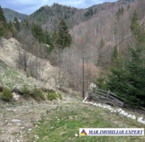 teren-de-vanzare-6000-mp-pe-valea-cheii-dambovicioara-arges-1
