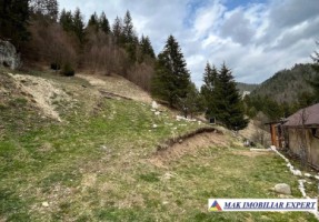 teren-de-vanzare-6000-mp-pe-valea-cheii-dambovicioara-arges-2