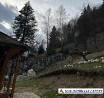 teren-de-vanzare-6000-mp-pe-valea-cheii-dambovicioara-arges-4