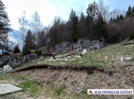 teren-de-vanzare-6000-mp-pe-valea-cheii-dambovicioara-arges-3