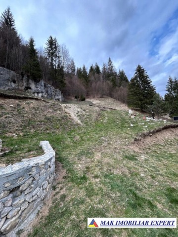 teren-de-vanzare-6000-mp-pe-valea-cheii-dambovicioara-arges-5