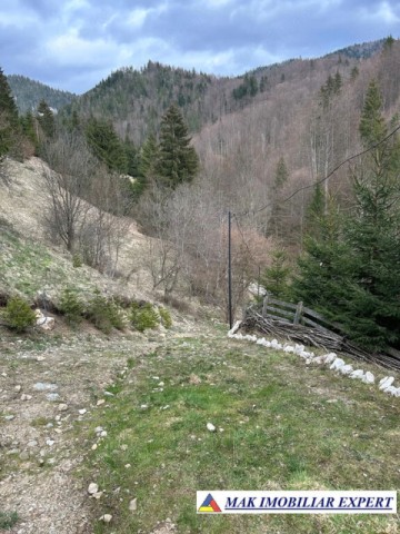 teren-de-vanzare-6000-mp-pe-valea-cheii-dambovicioara-arges-6