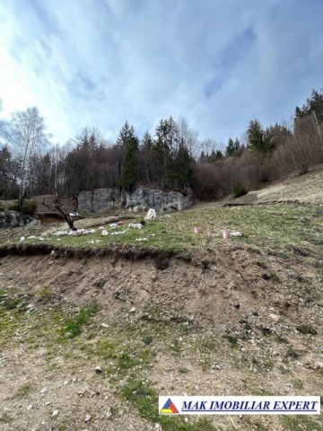 teren-de-vanzare-6000-mp-pe-valea-cheii-dambovicioara-arges-7