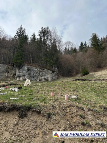 teren-de-vanzare-6000-mp-pe-valea-cheii-dambovicioara-arges-8