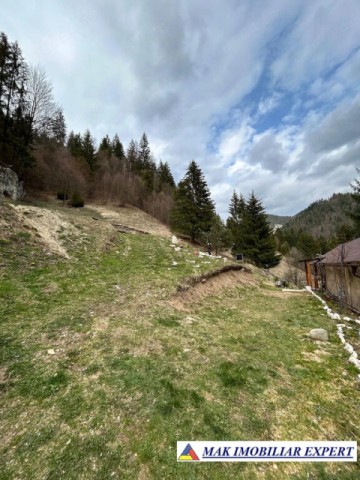 teren-de-vanzare-6000-mp-pe-valea-cheii-dambovicioara-arges-9