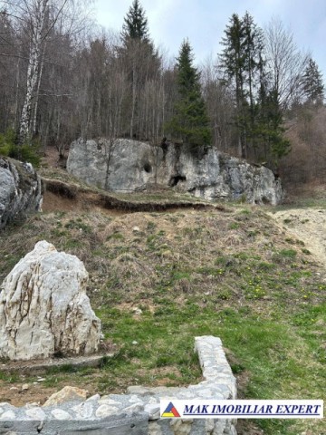 teren-de-vanzare-6000-mp-pe-valea-cheii-dambovicioara-arges-10
