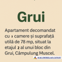 apartament-3-camere-cf-1-et-2-in-grui-campulung-muscel-arges