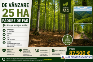 vand-25-ha-padure-de-fag-in-catiasu-buzau