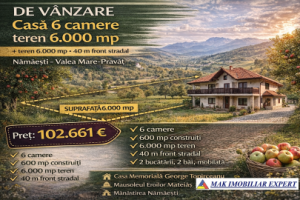 casa-6-camere-teren-6000-mp-in-namaesti-valea-mare-pravat-ag