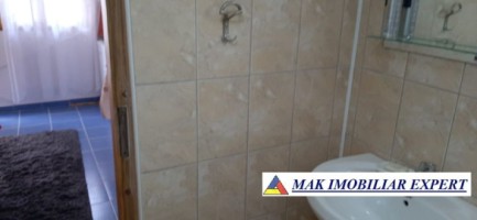 casa-4-camere-teren-4000-mp-in-godeni-arges-39