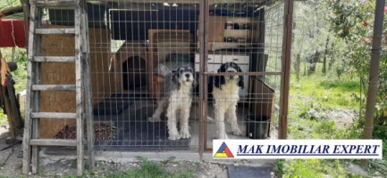 casa-4-camere-teren-4000-mp-in-godeni-arges-43