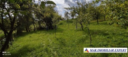 teren-1600-mp-intravilan-campulung