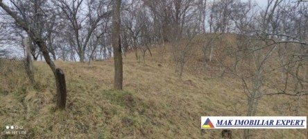 teren-1600-mp-intravilan-campulung-5