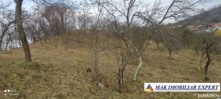 teren-1600-mp-intravilan-campulung-7