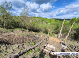 vand-teren-3204-mp-intra-extrav-in-godeni-arges-25