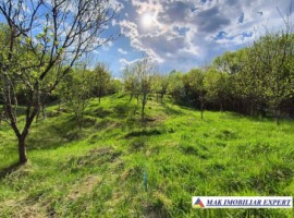 vand-teren-3204-mp-intra-extrav-in-godeni-arges-35