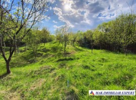 vand-teren-3204-mp-intra-extrav-in-godeni-arges-39