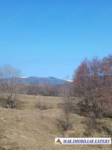 noi-2026-teren-2500-mp-intravilan-de-vanzare-in-nucsoara-arges-4