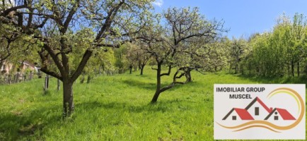 teren-3400-mp-intravilan-voinesti-pret-51000-euro-3
