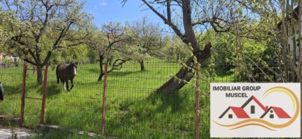 teren-3400-mp-intravilan-voinesti-pret-51000-euro-4