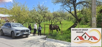 teren-3400-mp-intravilan-voinesti-pret-51000-euro-5
