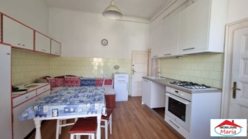 casa-cu-teren-421-mp-zona-titulescu-11
