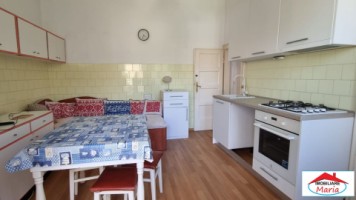 casa-cu-teren-421-mp-zona-titulescu-13
