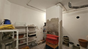 casa-ultracentrala-garaj-ideala-firma-sau-locuinta-40