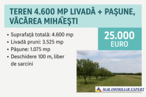 teren-4600-mp-livada-pasune-in-vacarea-mihaesti-arges