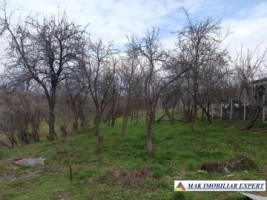 casa-3-camere-teren-1100-mp-in-mihaiesti-vacarea-arges-6