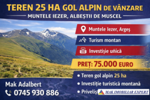 teren-25-ha-gol-alpin-pe-muntele-iezer-albestii-de-muscel-ag