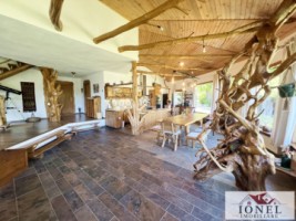 casa-exclusivista-de-vanzare-in-aiud-21