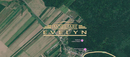 teren-intravilan-10600-mp-zona-restaurant-stejaru-baisa