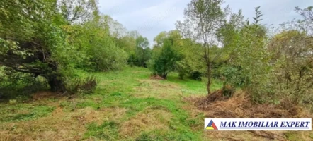 vand-teren-5400-mp-intravilan-bunghea-de-jos-arges-2