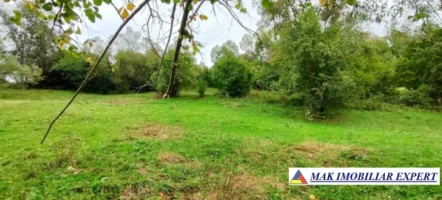 vand-teren-5400-mp-intravilan-bunghea-de-jos-arges-3
