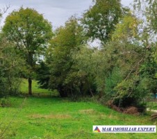 vand-teren-5400-mp-intravilan-bunghea-de-jos-arges-4