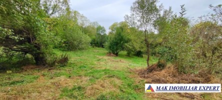 vand-teren-5400-mp-intravilan-bunghea-de-jos-arges-12