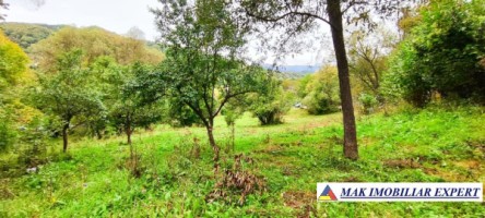 vand-teren-5400-mp-intravilan-bunghea-de-jos-arges-13