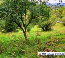 vand-teren-5400-mp-intravilan-bunghea-de-jos-arges-16