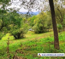 vand-teren-5400-mp-intravilan-bunghea-de-jos-arges-18