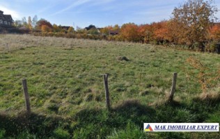 teren-1000-mp-intravilan-in-campulung-muscel-arges-5